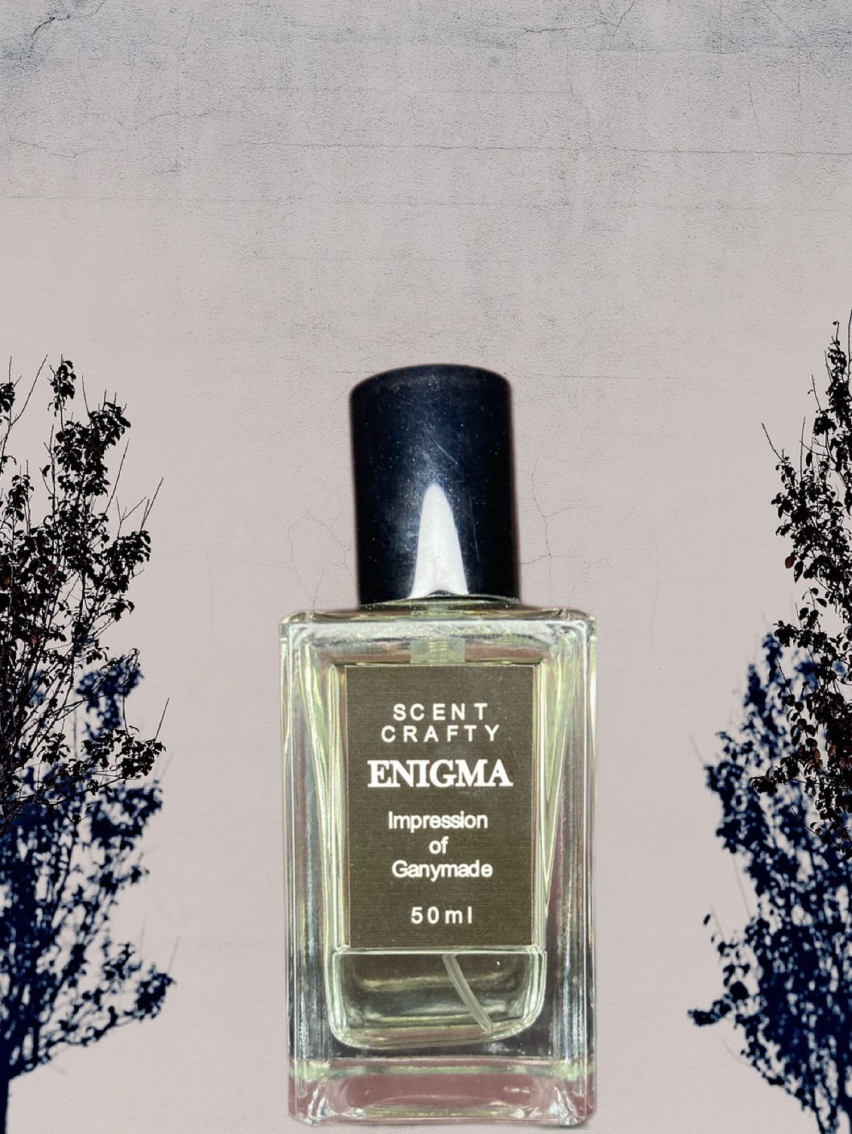 Enigma '' Impression of Ganymade''